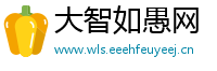 大智如愚网